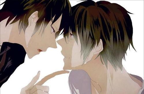 伦理耽美动漫在线观看,在线观看耽美动漫的伦理探索之旅  第3张